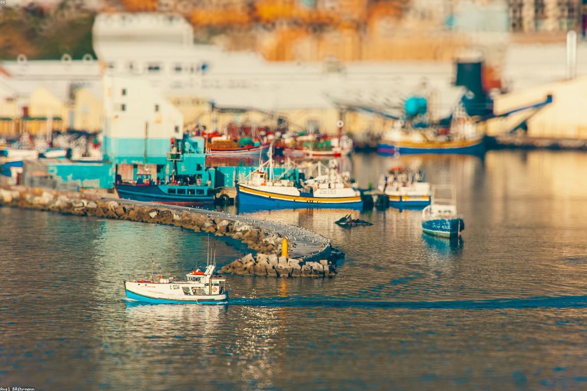 Best Fishing Lures for Beginners in 2026: What Actually Catches Fish