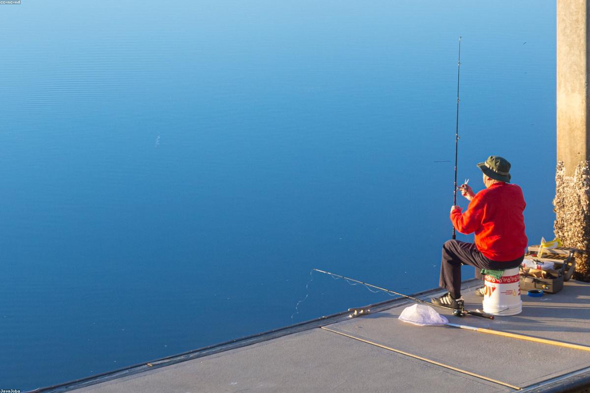 Best Fishing Sunglasses for Beginners in 2026: Polarized Picks