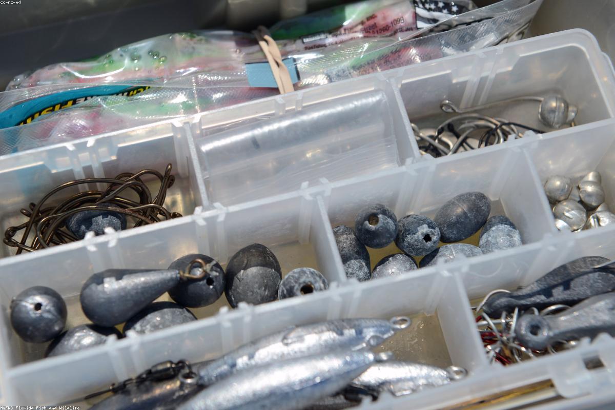 Beginner fishing tips