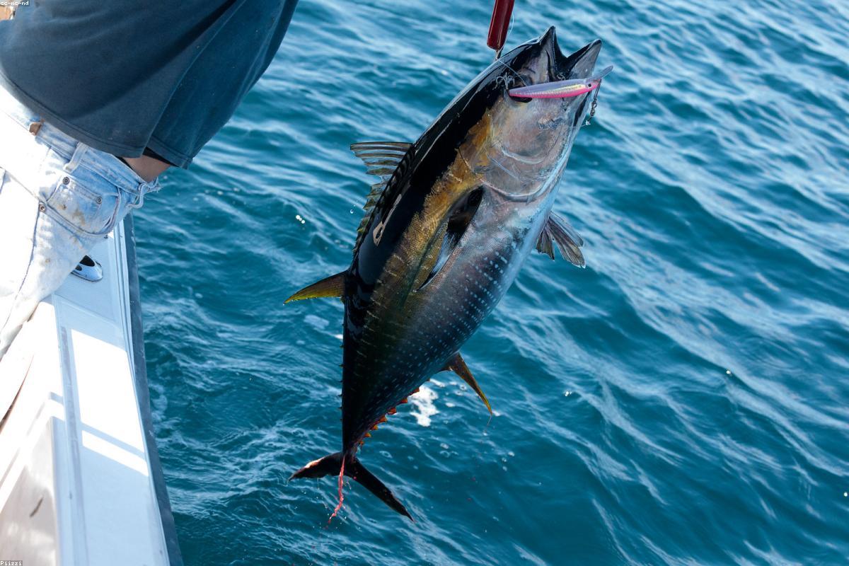 Best Fishing Tackle for Beginners in 2026: Complete Kit Guide