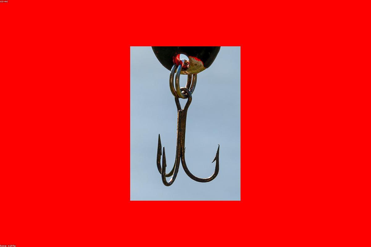 Beginner fishing tips