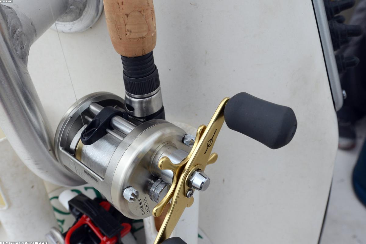 Beginner fishing tips