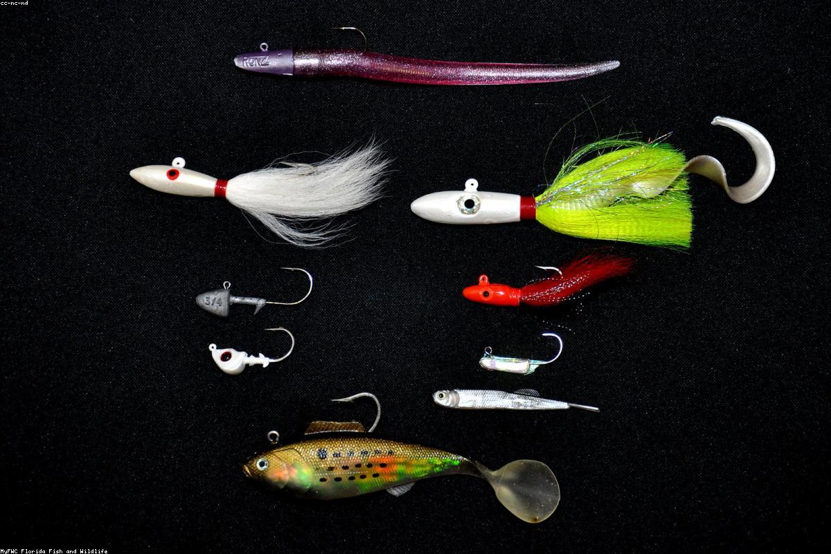Beginner fishing tips