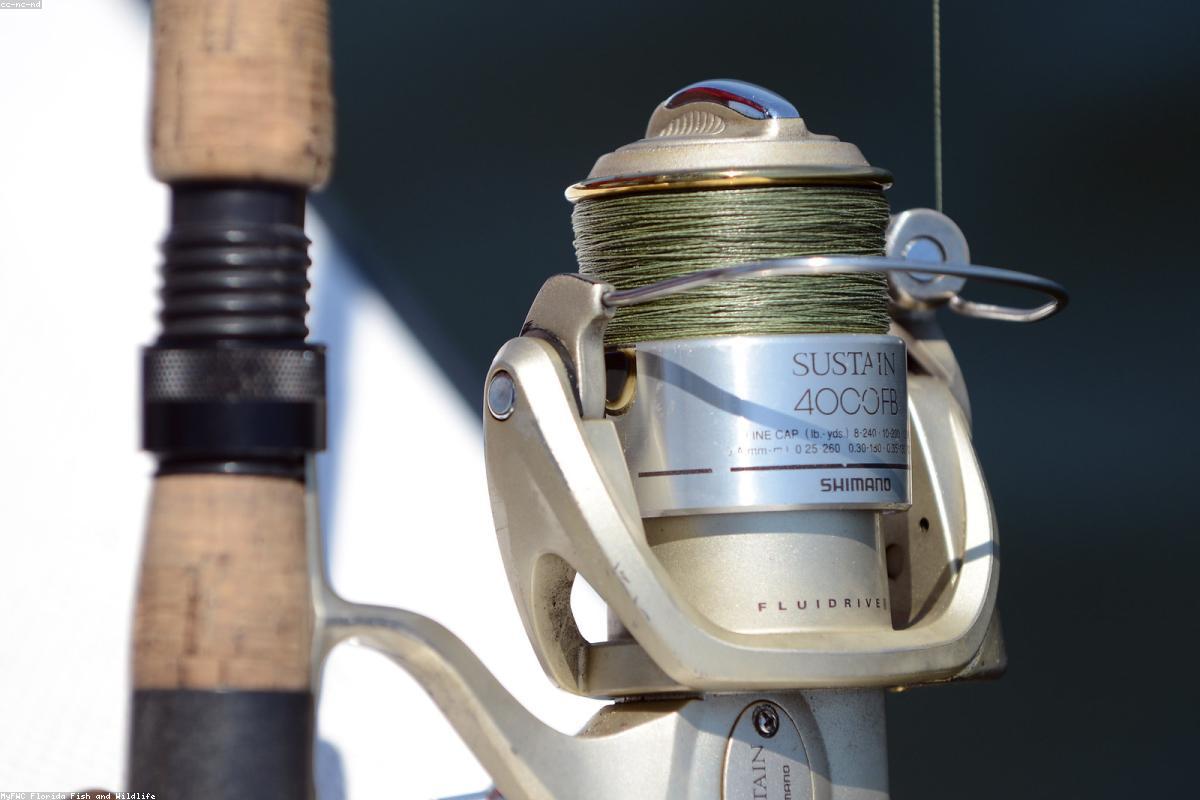 Beginner fishing tips