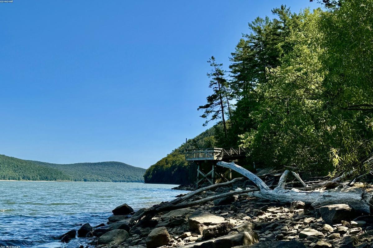 Lake Fishing for Beginners: Tips, Gear and Where to Start