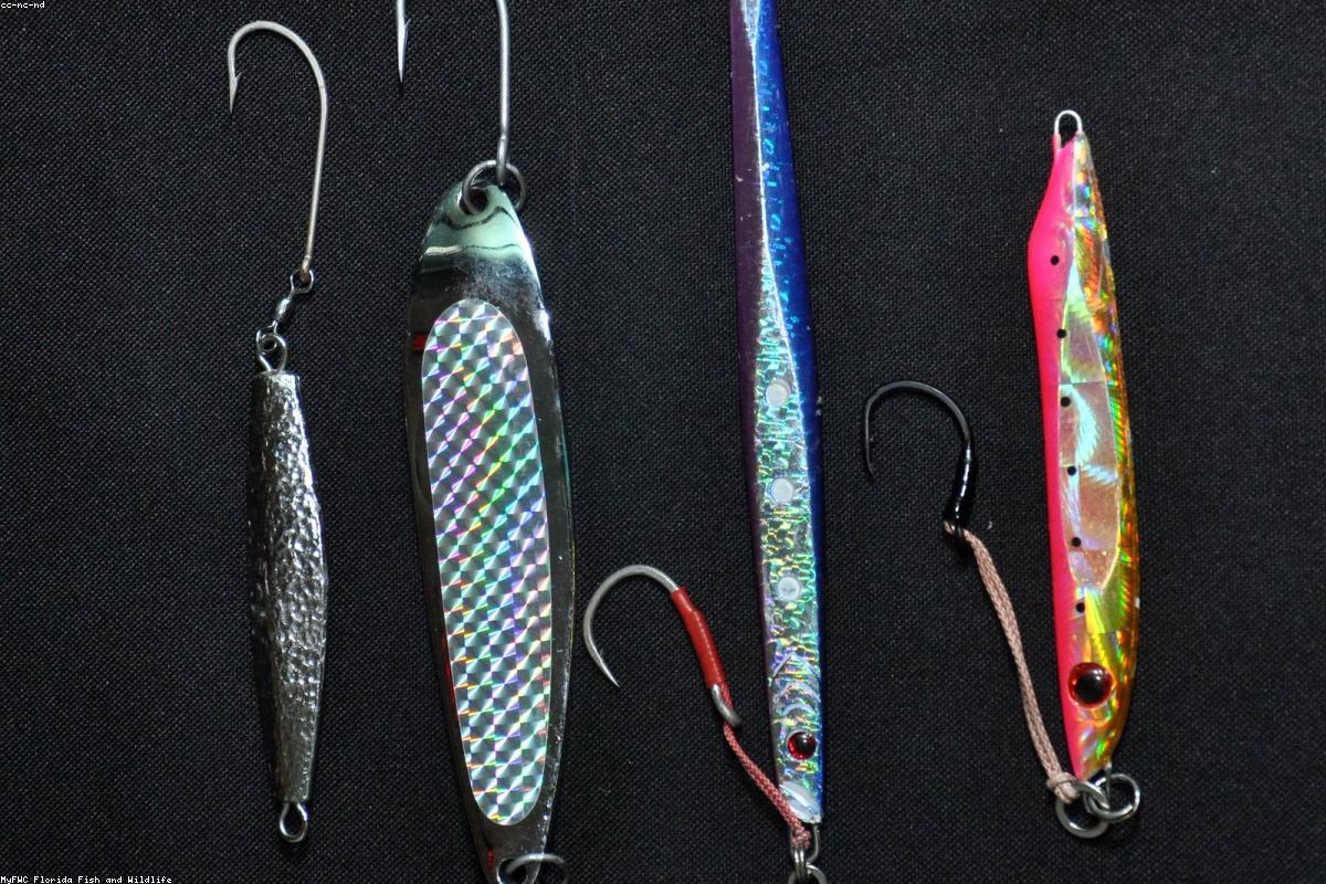 Beginner fishing tips