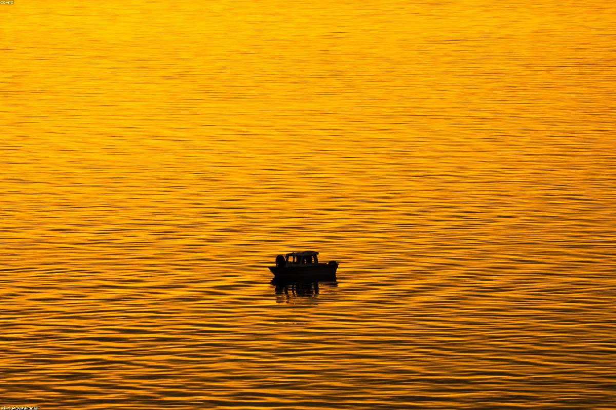 Night Fishing for Beginners: Tips, Gear and Best Baits