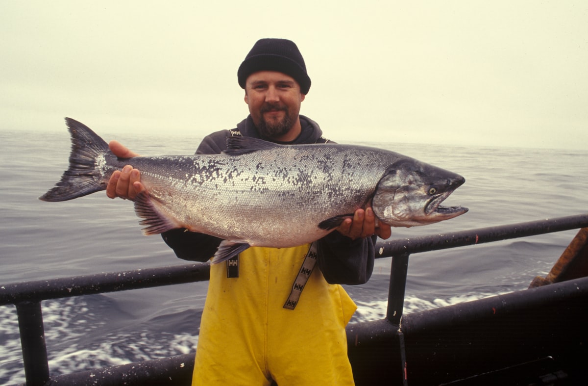 Catch and Release Fishing: A Beginner's Guide to Doing It Right